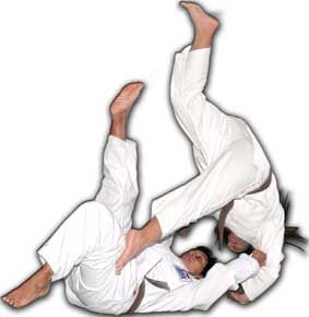 2007_judo_fem_02.jpg
